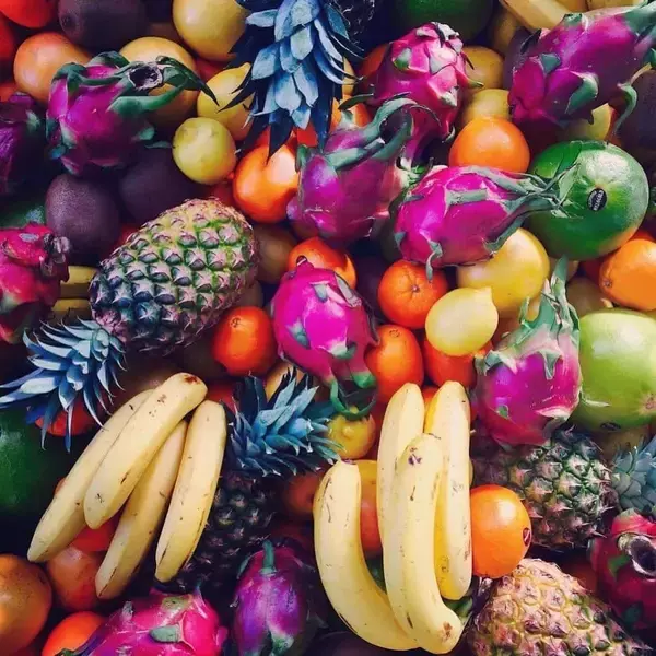 「キャンプ、音楽、ヨガを楽しめるフェス＜SOUL RETREAT CAMP＞が開催決定！DJ HASEBE、MACKA-CHINが登場」の画像