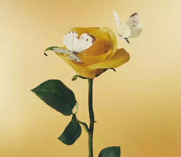 「Amazonの梱包ボックスがあいみょん仕様に！とんだ林蘭が手掛ける『あいみょんオリジナルBox』が発送スタート」の画像