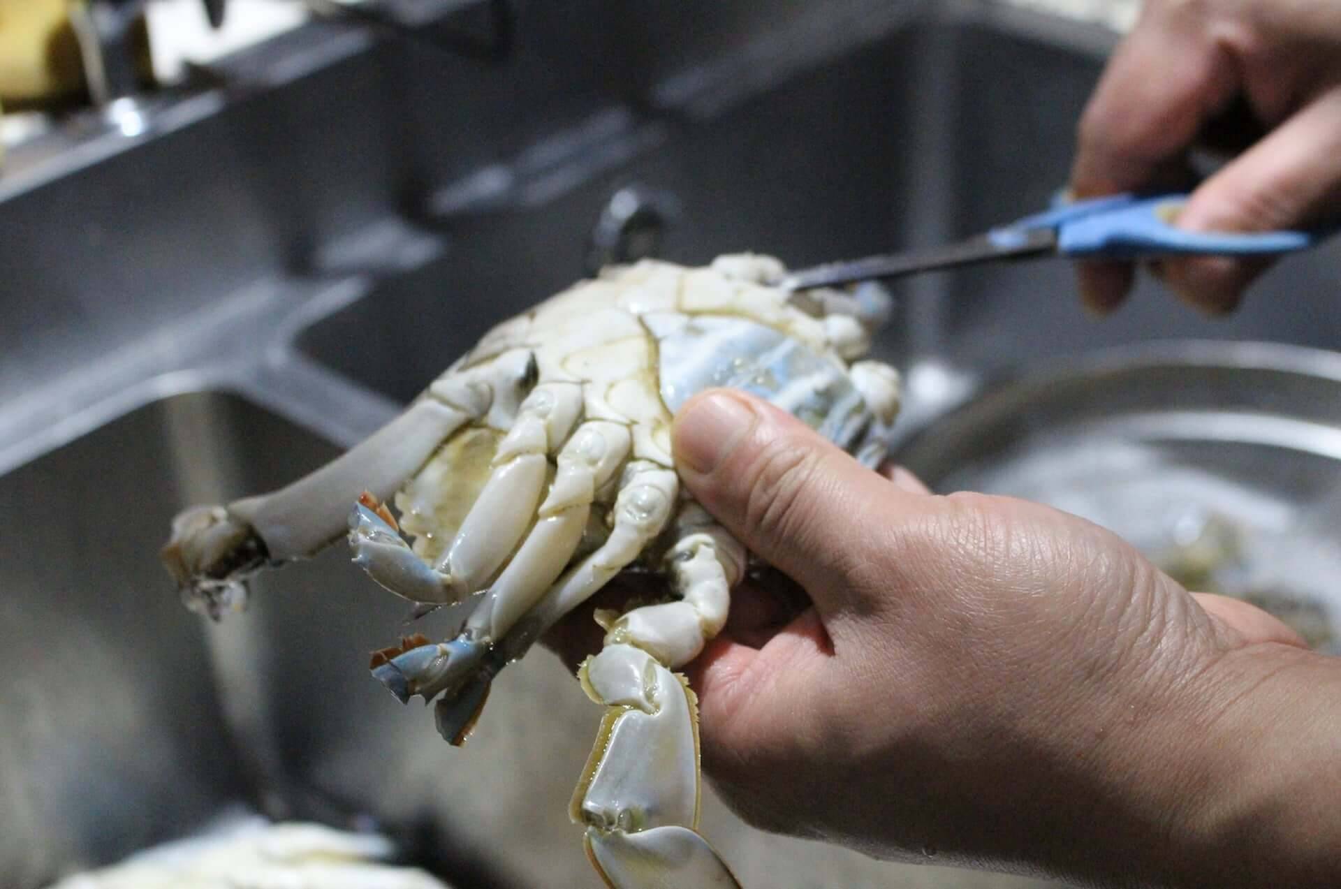 北海道産のワタリガニを使用した 生カンジャンケジャン が 韓国食堂ケグリ に登場 1日10食限定で販売開始 年10月29日 エキサイトニュース