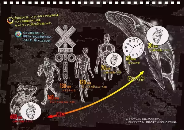 「『TR-808』をモチーフにした児童書を小林“ミミ”泉美が執筆！『エイト・オー・エイト – 声と手拍子で遊ぶリズム絵本 -』が発売決定」の画像