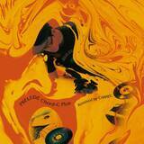 「KOYANMUSICとCARRECによる共作『Prelude Chord-C』のデラックス版がリリース！田我流、5lack、OMSBらが参加」の画像1