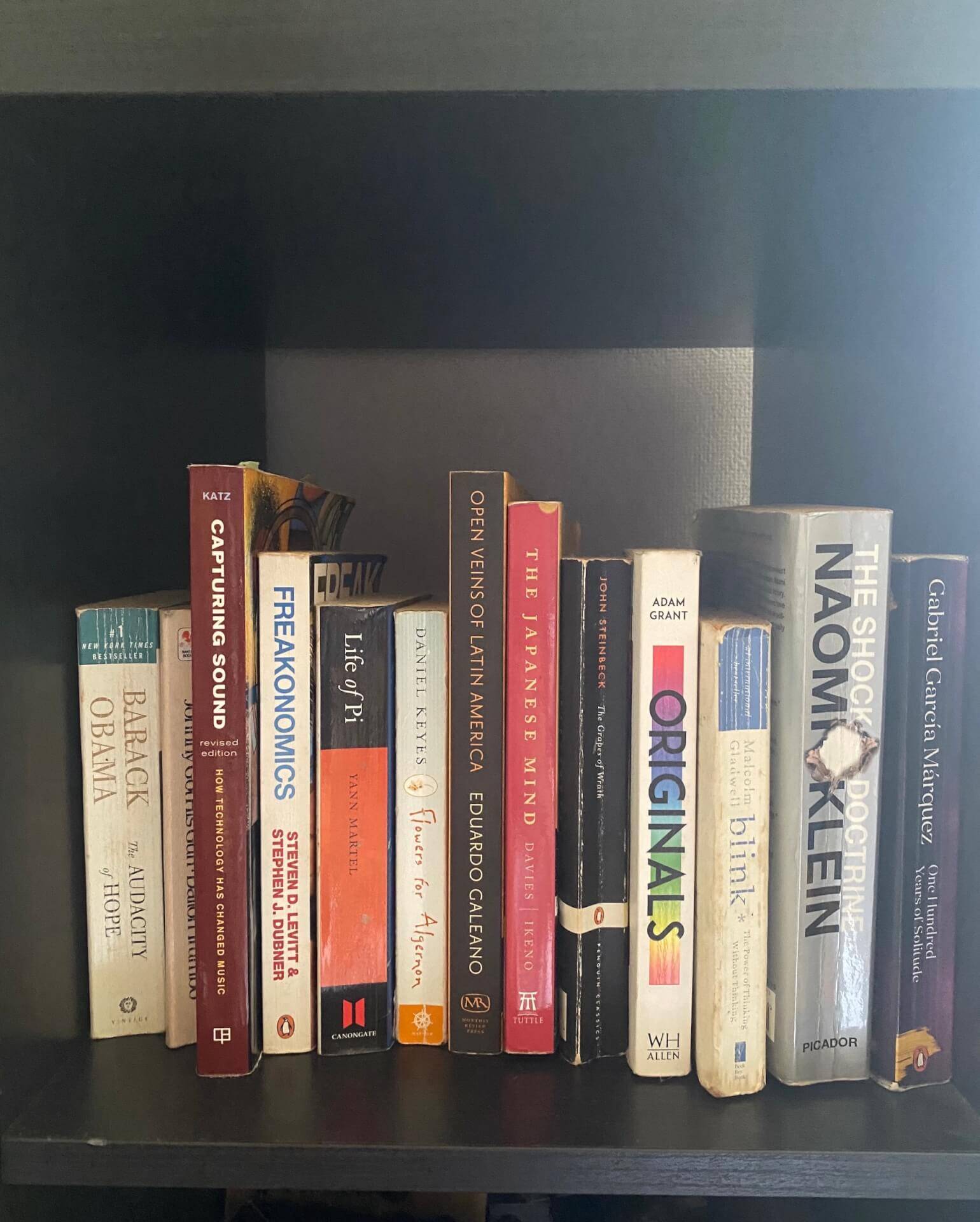 アートブックノススメ：番外編｜ Michael Kaneko-『百年の孤独』／ガブリエル・ガルシア＝マルケス