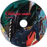 「black midiのニューアルバム『Cavalcade』より最新シングル“Chondromalacia Patella”が本日公開！」の画像4