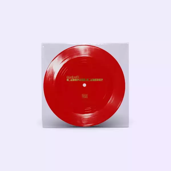 「black midiの2ndアルバム『Cavalcade』がフィジカルに先駆け本日デジタルリリース！来日公演も決定」の画像