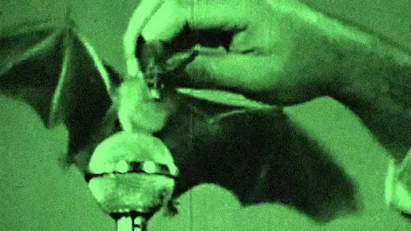 「CHVRCHESとThe CureのRobert Smithのコラボ曲“How Not To Drown”のMVが公開！」の画像