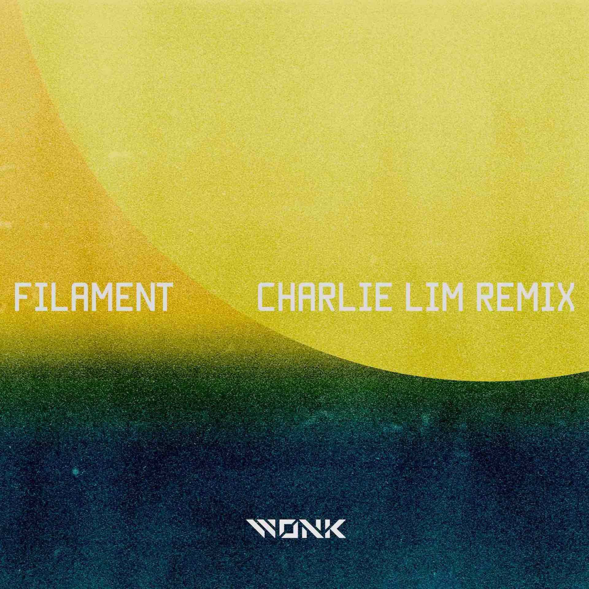 WONK『EYES』リミックスシリーズ第4弾“Filament – Charlie Lim Remix”が本日リリース！どんぐりずとの2マンも