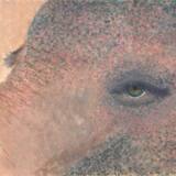 「ライブレポート：Lilubayが初ワンマンライブでaddからの改名の決意をステージで表現」の画像12