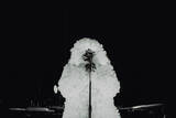 「アーティスト Erykah Baduによる新たなライブプロジェクト＜IMEHO＞が世界ツアーを日本から開催」の画像7