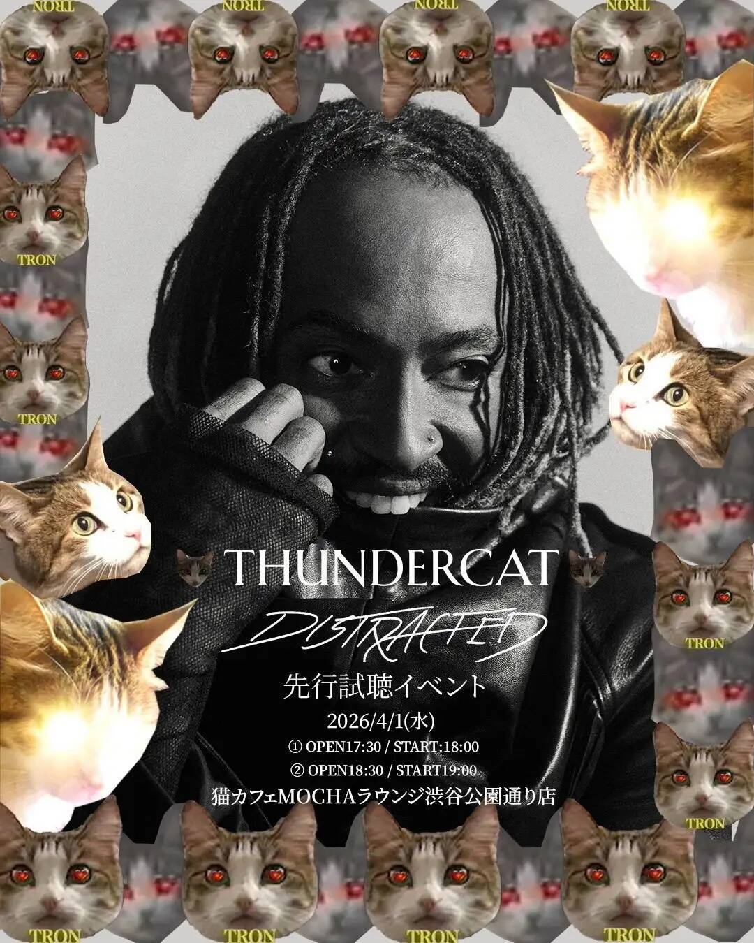 猫カフェで聴くThundercat、そのおかしな正しさについて