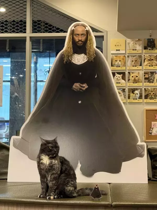 「猫カフェで聴くThundercat、そのおかしな正しさについて」の画像