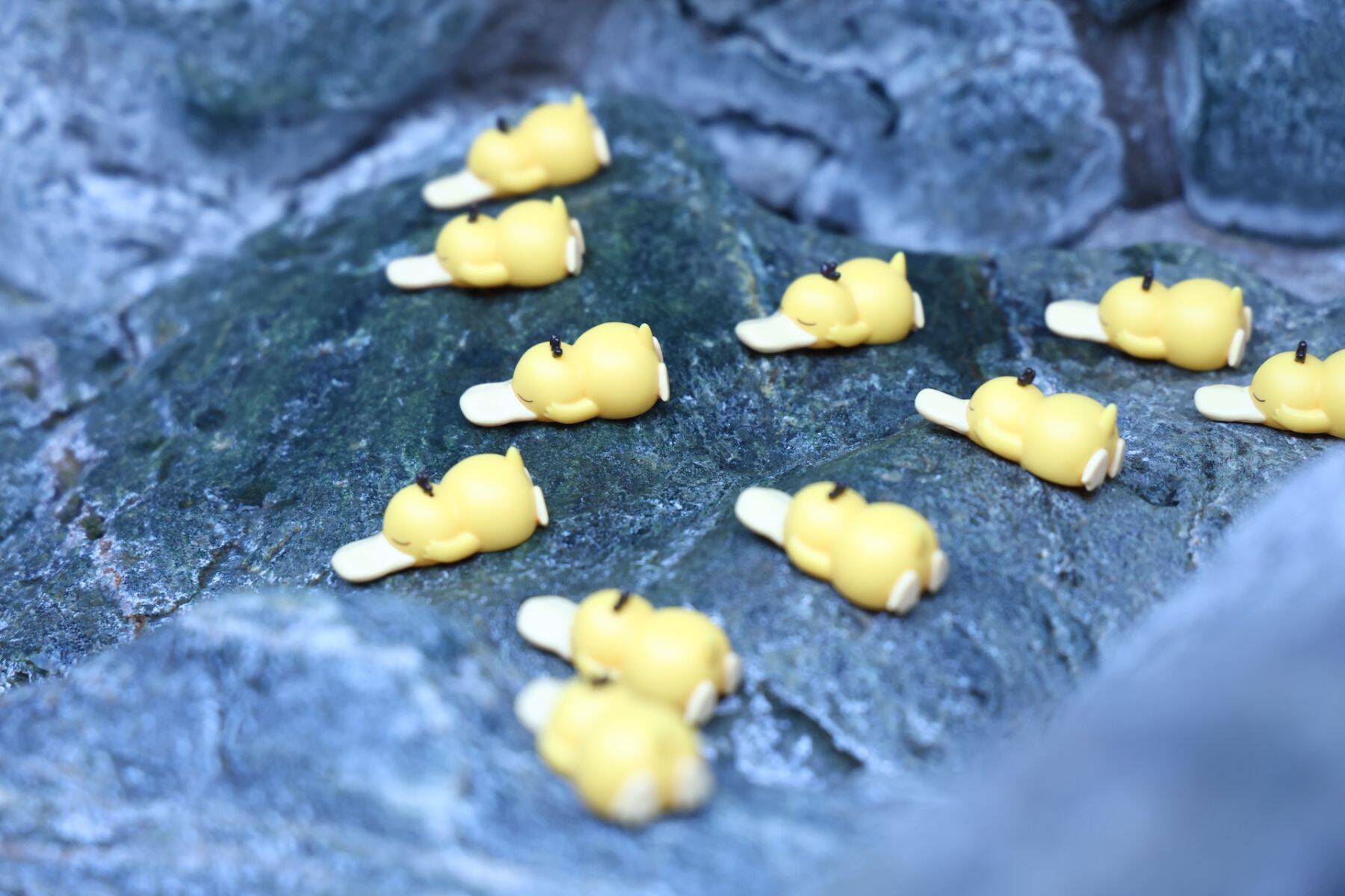 『Pokémon Sleep』と『サウナイキタイ』が共同プロジェクト “サとス”を発表