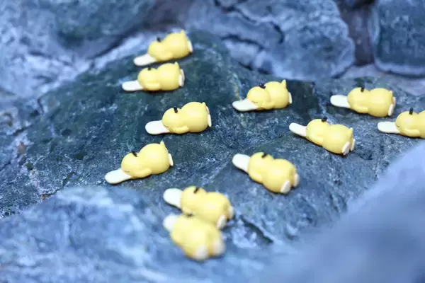 「『Pokémon Sleep』と『サウナイキタイ』が共同プロジェクト “サとス”を発表」の画像