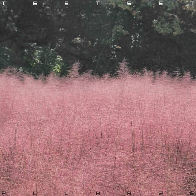 TESTSETが描く“霞”のサウンド──2ndアルバム『ALL HAZE』で見せた成熟と実験