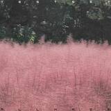 「TESTSETが描く“霞”のサウンド──2ndアルバム『ALL HAZE』で見せた成熟と実験」の画像7