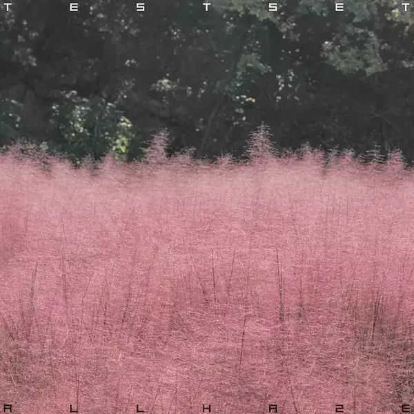 「TESTSETが描く“霞”のサウンド──2ndアルバム『ALL HAZE』で見せた成熟と実験」の画像