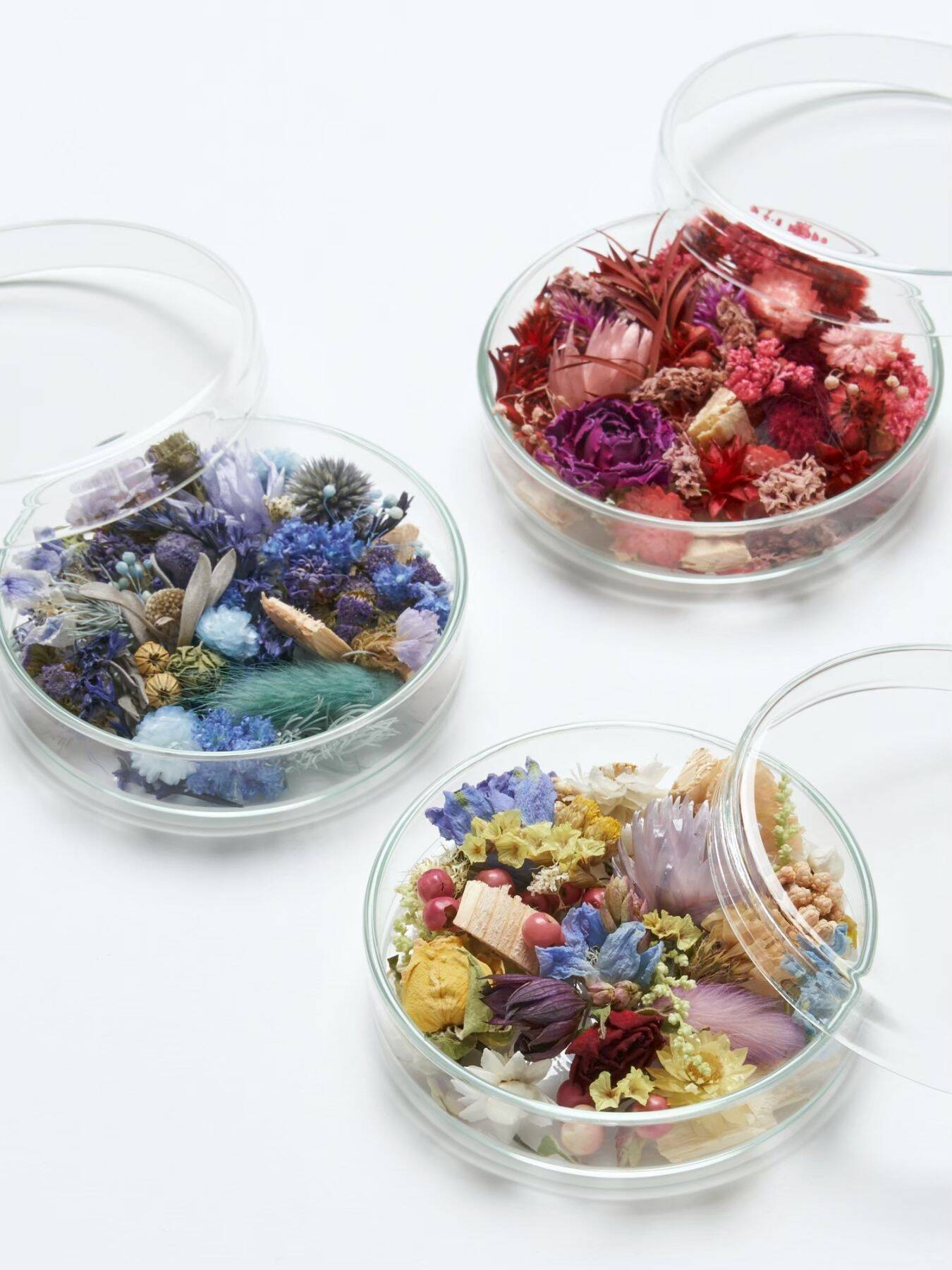 ドライフラワー専門店 EW.Pharmacyがrocky’s matchaと手を組んだ新ショップEW.Pharmacy #106をオープン