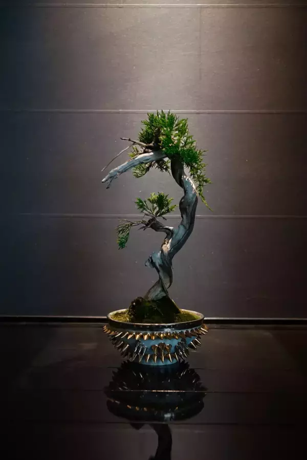 「盆栽ブランド『Scapes』盆栽クリエイター・濵地周三が阪急メンズ東京にてポップアップショップを開催｜陶芸家・古賀崇洋とのコラボプロダクトも」の画像