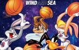 「〈WIND AND SEA〉が公開30周年を迎える映画『SPACE JAM』との最新コラボを発表」の画像1
