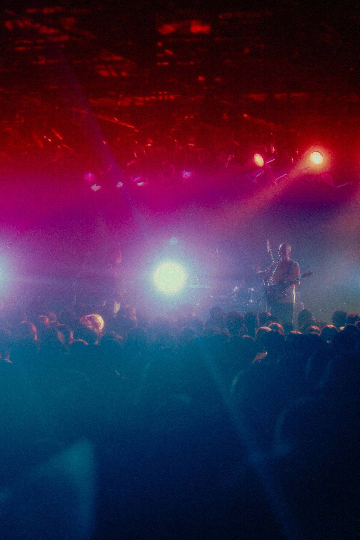 僕らがNikoんを好きなワケ Vol.02 ～ファン・インタビューから紐解くバンドの魅力～