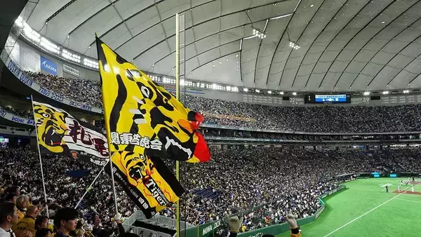 「愛情だとは思えへん」「一生投げられなくなったら…」藤浪晋太郎の“ぶっちゃけ”に賛否両論の声