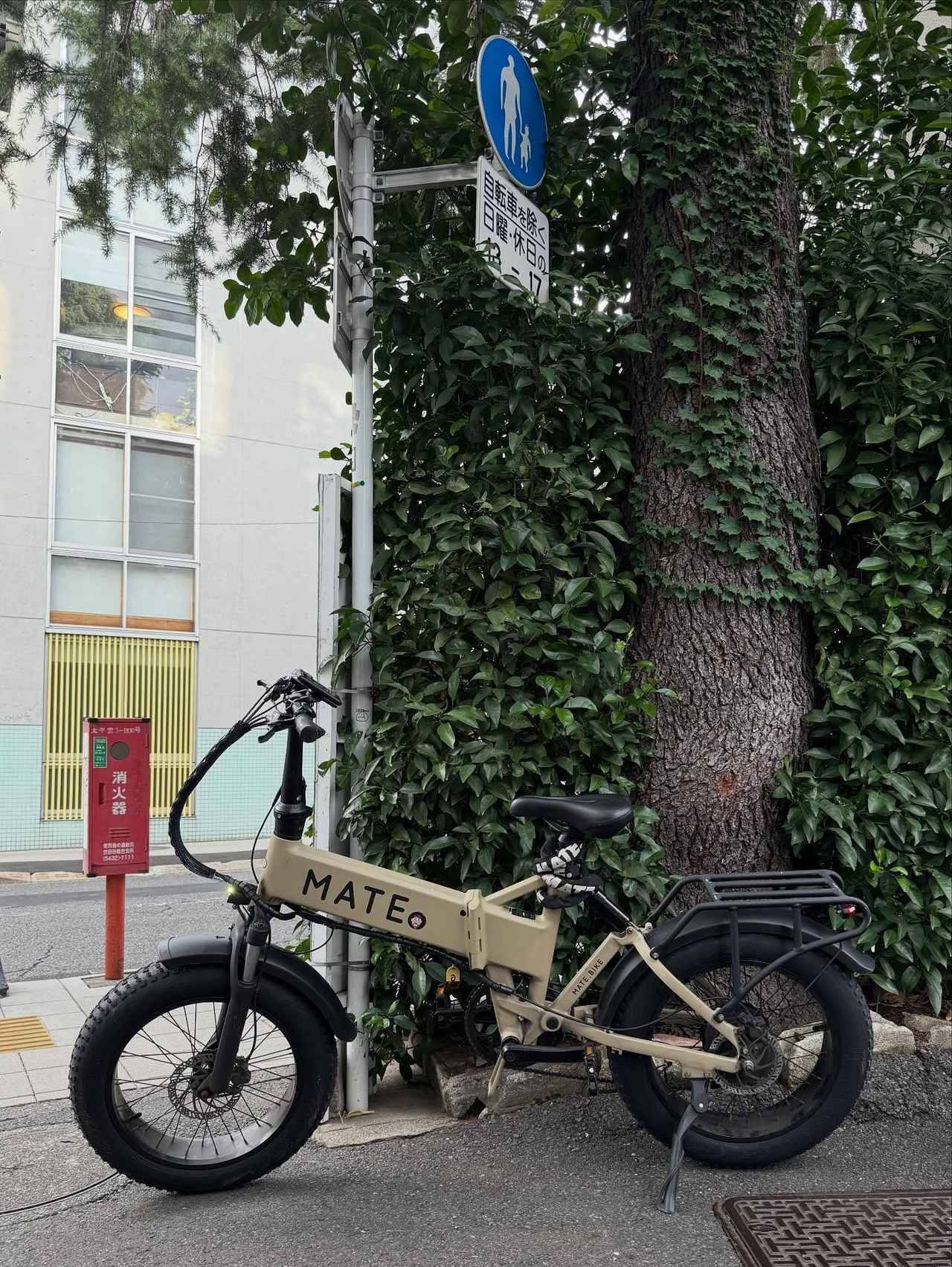 【スタイリッシュな自転車】のデザインに惚れる。 センスのいい人が選ぶ「愛用バイク」