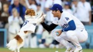 デコピン、全米野球記者協会から「最優秀“犬”賞」を受賞。MVP4回目受賞の飼い主より話題に