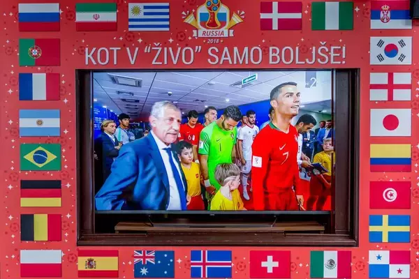 W杯全試合を観るだけで750万円——FOXが公募した「ある条件付き」の仕事が話題