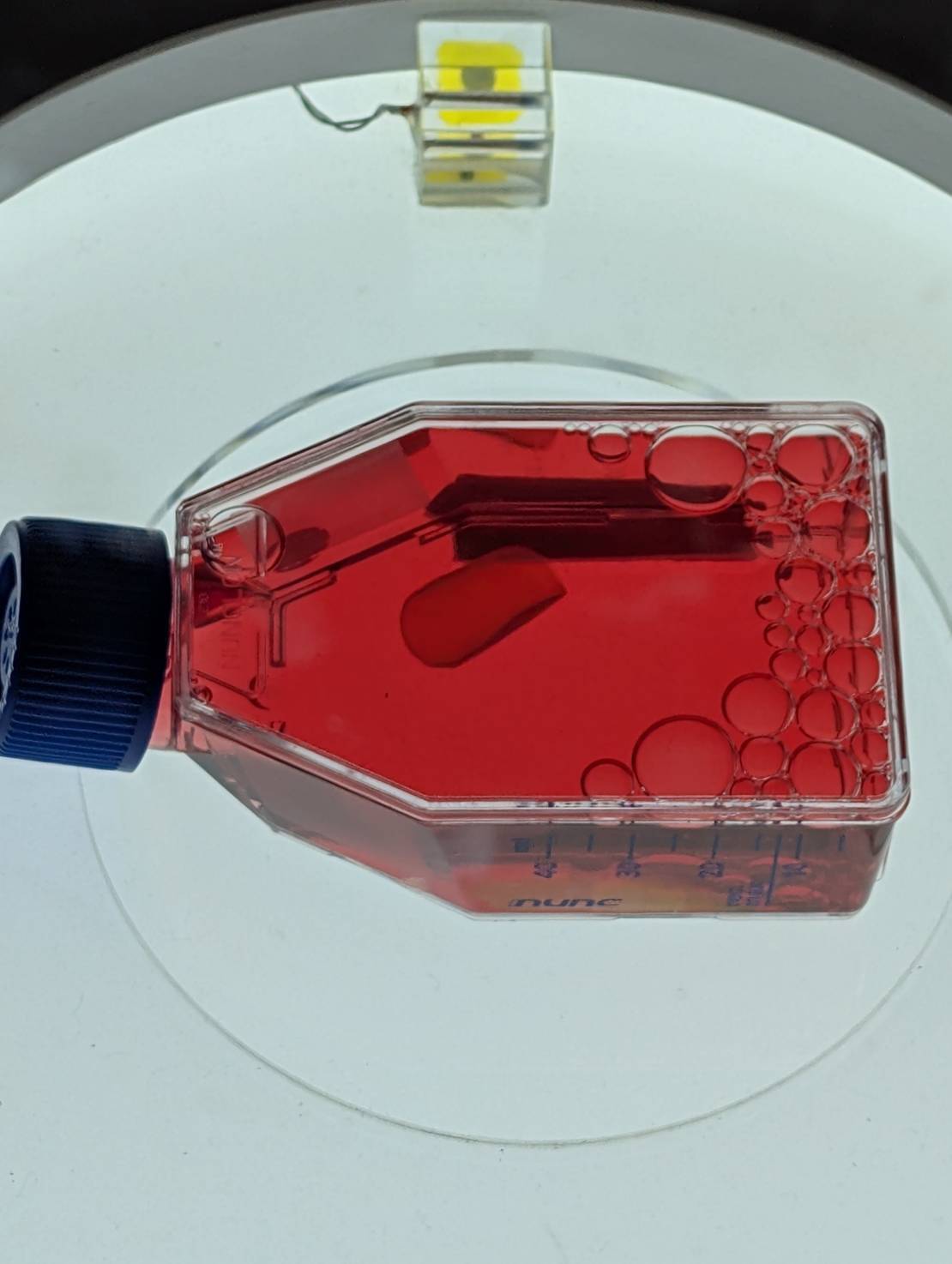 iPS細胞の展示や「人生ゲーム」「ミライ人間洗濯機」など体験型アトラクションで人気に。大阪ヘルスケアパビリオン　【プレイバック大阪・関西万博】