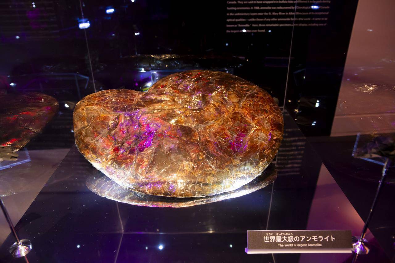 「iPS心臓」や鉄腕アトム、ブラックジャックの登場で人気を博した『PASONA NATUREVERSE』【プレイバック大阪・関西万博】