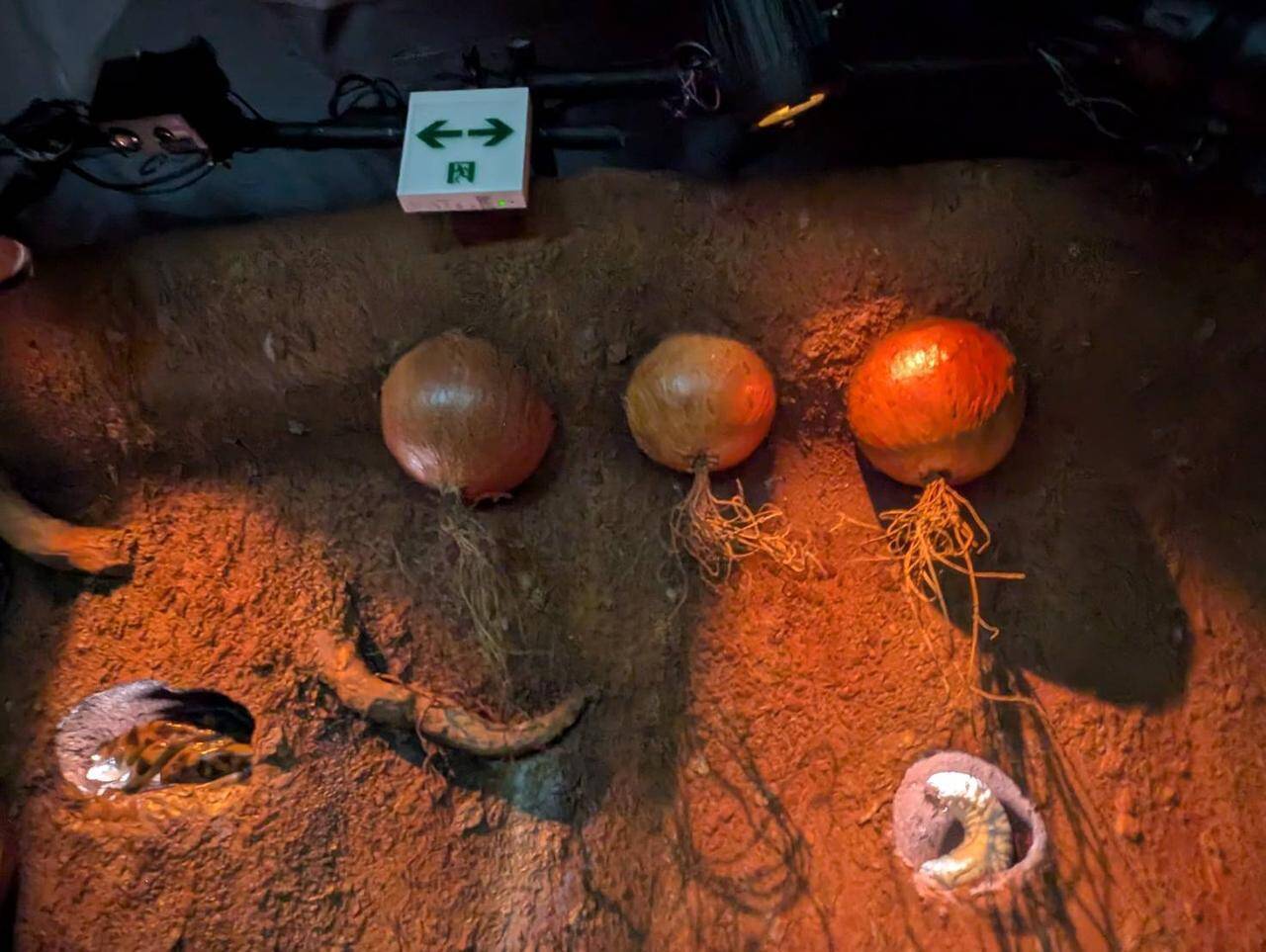 「iPS心臓」や鉄腕アトム、ブラックジャックの登場で人気を博した『PASONA NATUREVERSE』【プレイバック大阪・関西万博】