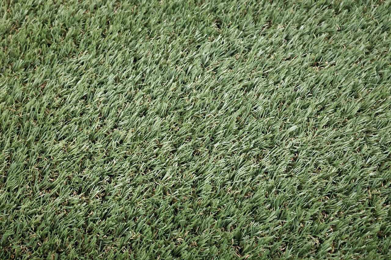 自然界で分解する“生分解性人工芝”、「バンテリンドーム」が世界初採用！ミズノとカネカが共同開発