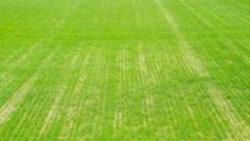 サッカー留学詐欺で男が逮捕、スペインでプロになれると持ちかけ約55万円要求