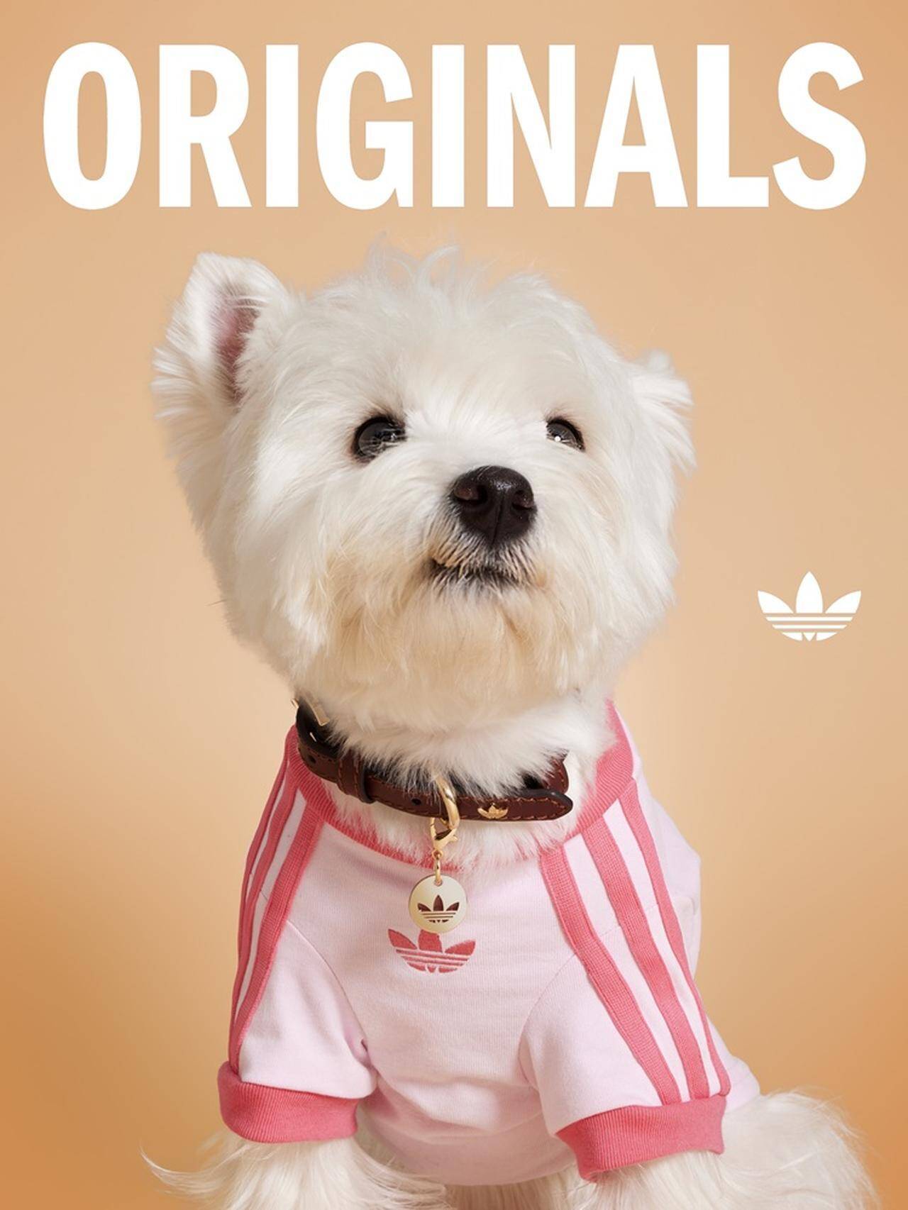 東京・渋谷のMIYASHITA PARK「adidas旗艦店」、本日リニューアルオープン！各国代表ユニフォームを国内最大規模で展開