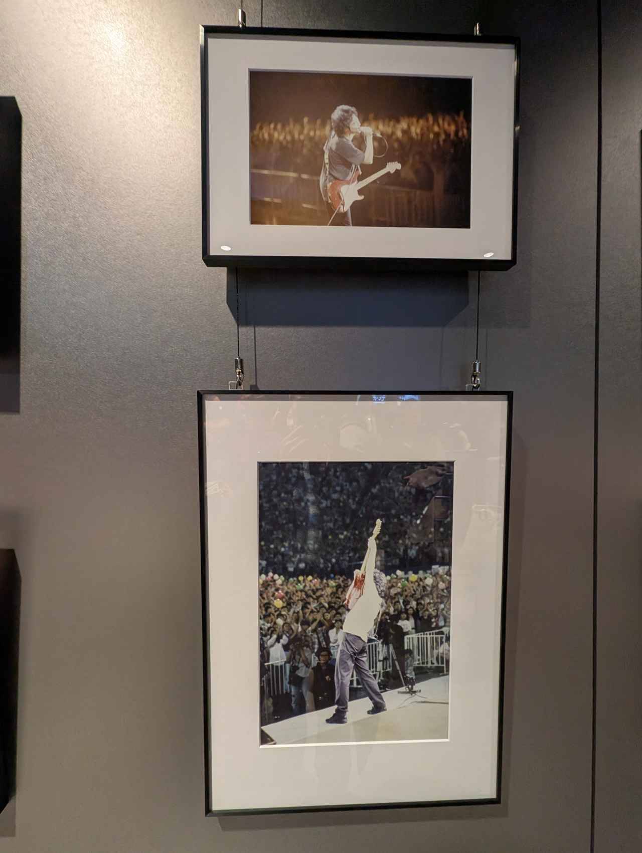 スポーツ＆プロレスの聖地で、佐野元春とスチャダラパーが魅せた熱き2日間のステージ『YOKOHAMA UNITE 音楽祭 2025』