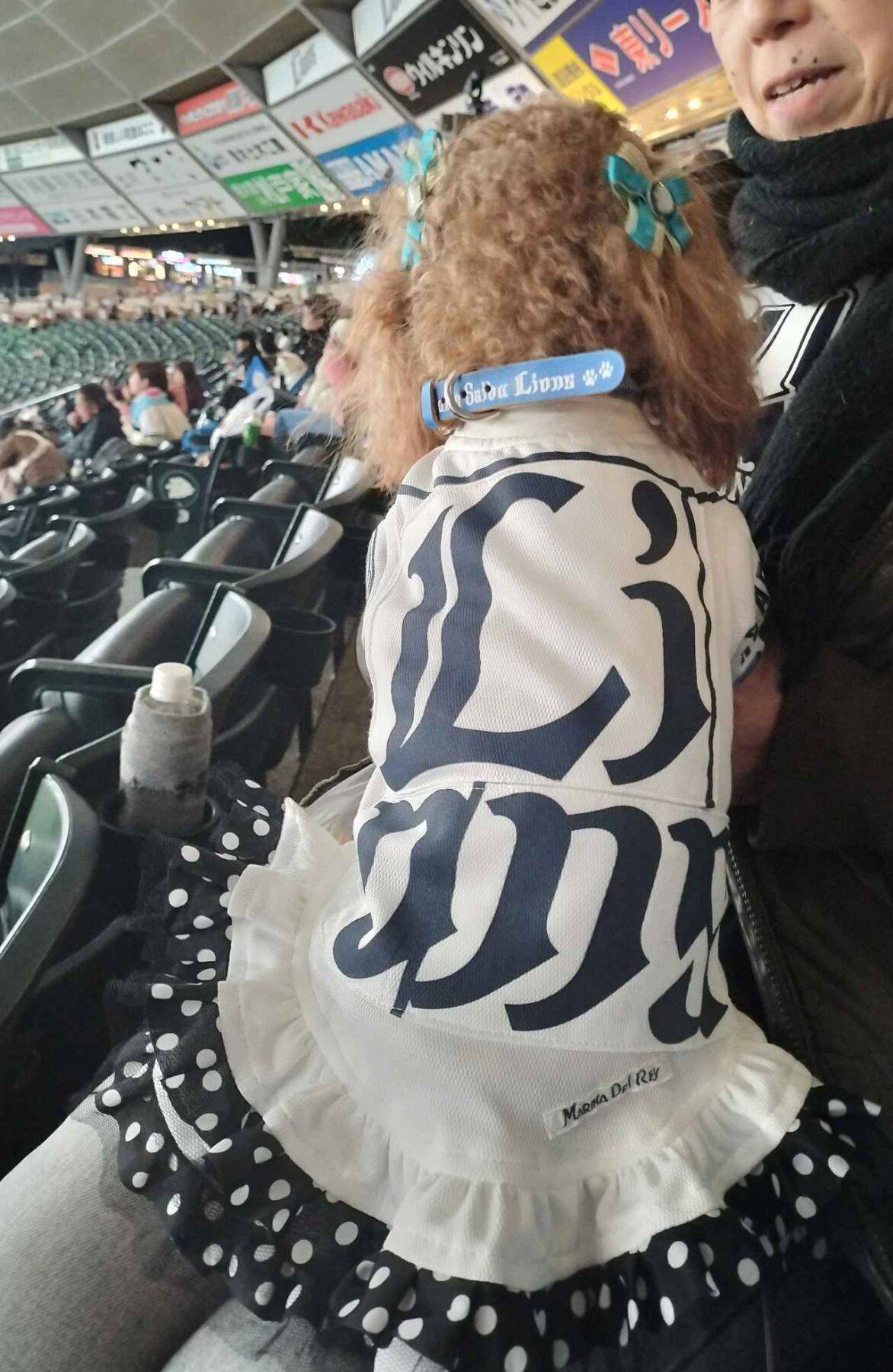 愛犬と観戦！埼玉西武ライオンズ、北海道日本ハムファイターズのペットと応援企画をレポート！