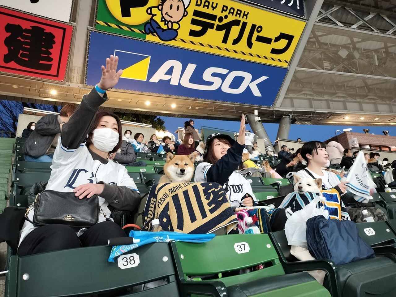 愛犬と観戦！埼玉西武ライオンズ、北海道日本ハムファイターズのペットと応援企画をレポート！