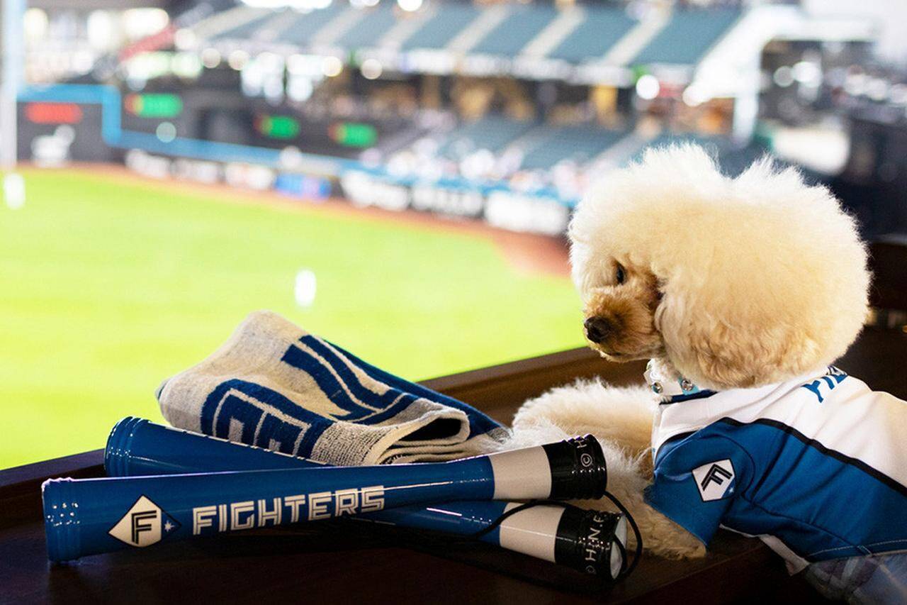愛犬と観戦！埼玉西武ライオンズ、北海道日本ハムファイターズのペットと応援企画をレポート！