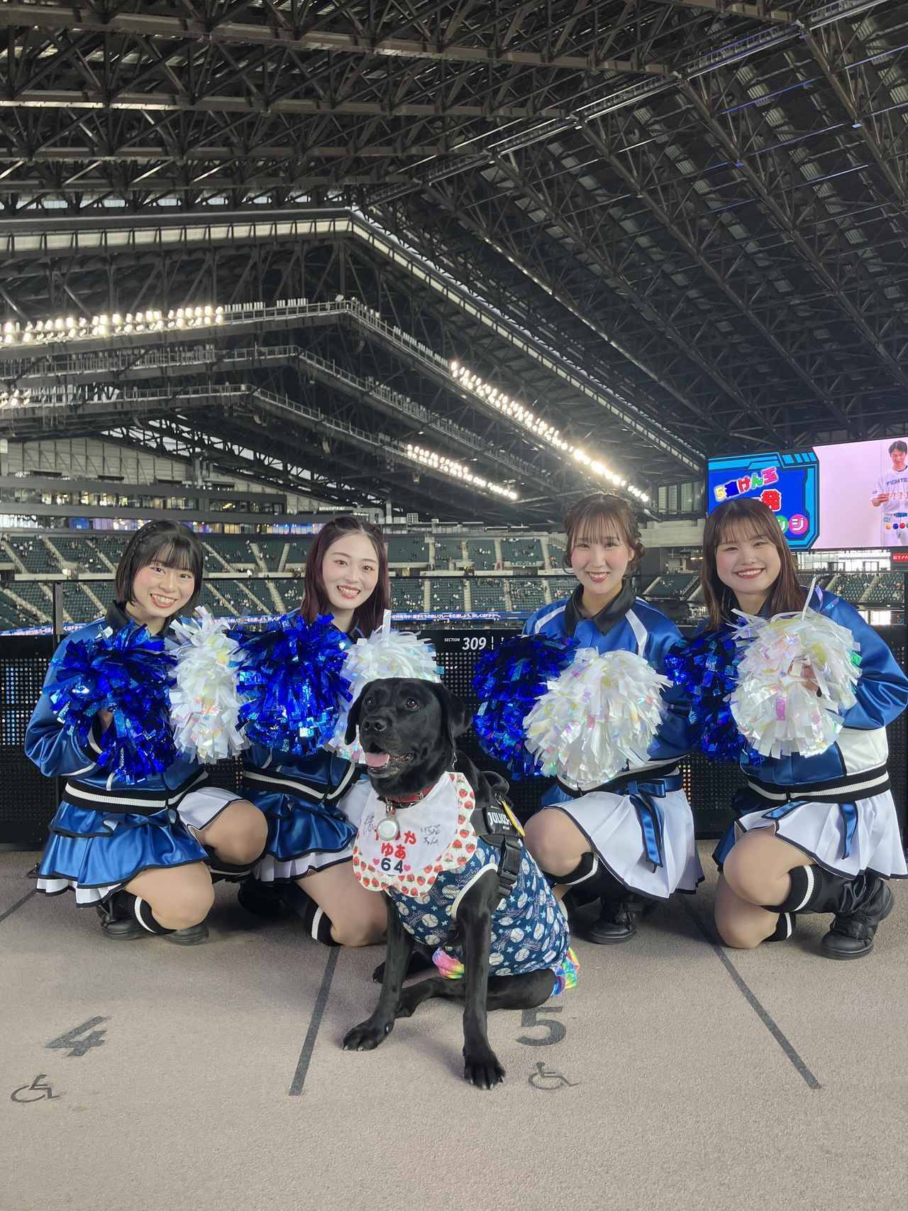 愛犬と観戦！埼玉西武ライオンズ、北海道日本ハムファイターズのペットと応援企画をレポート！