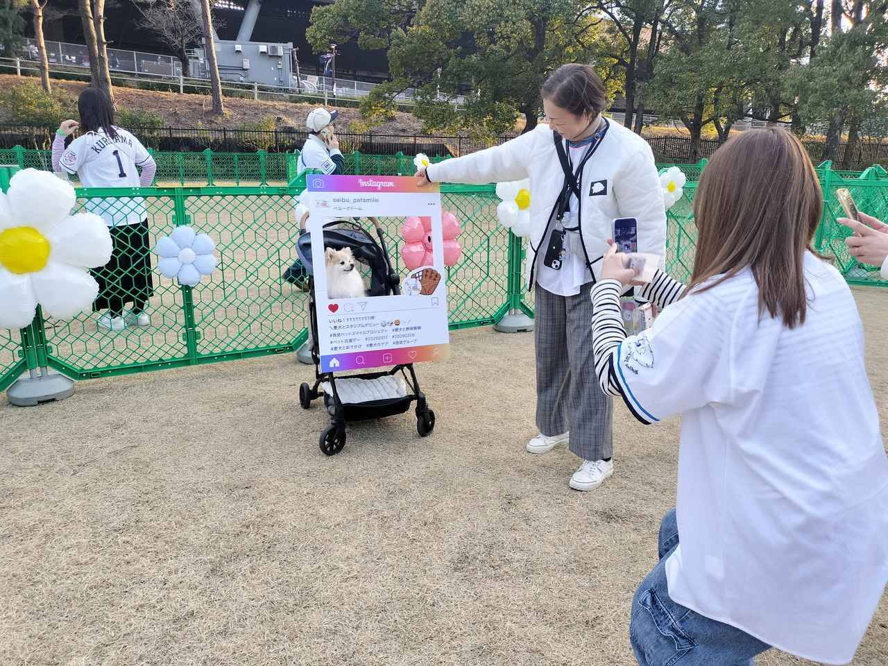 愛犬と観戦！埼玉西武ライオンズ、北海道日本ハムファイターズのペットと応援企画をレポート！