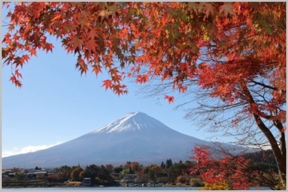 ウユニ塩湖に行かなくても ウユニ塩湖みたいな写真撮り放題です 21年4月24日 エキサイトニュース