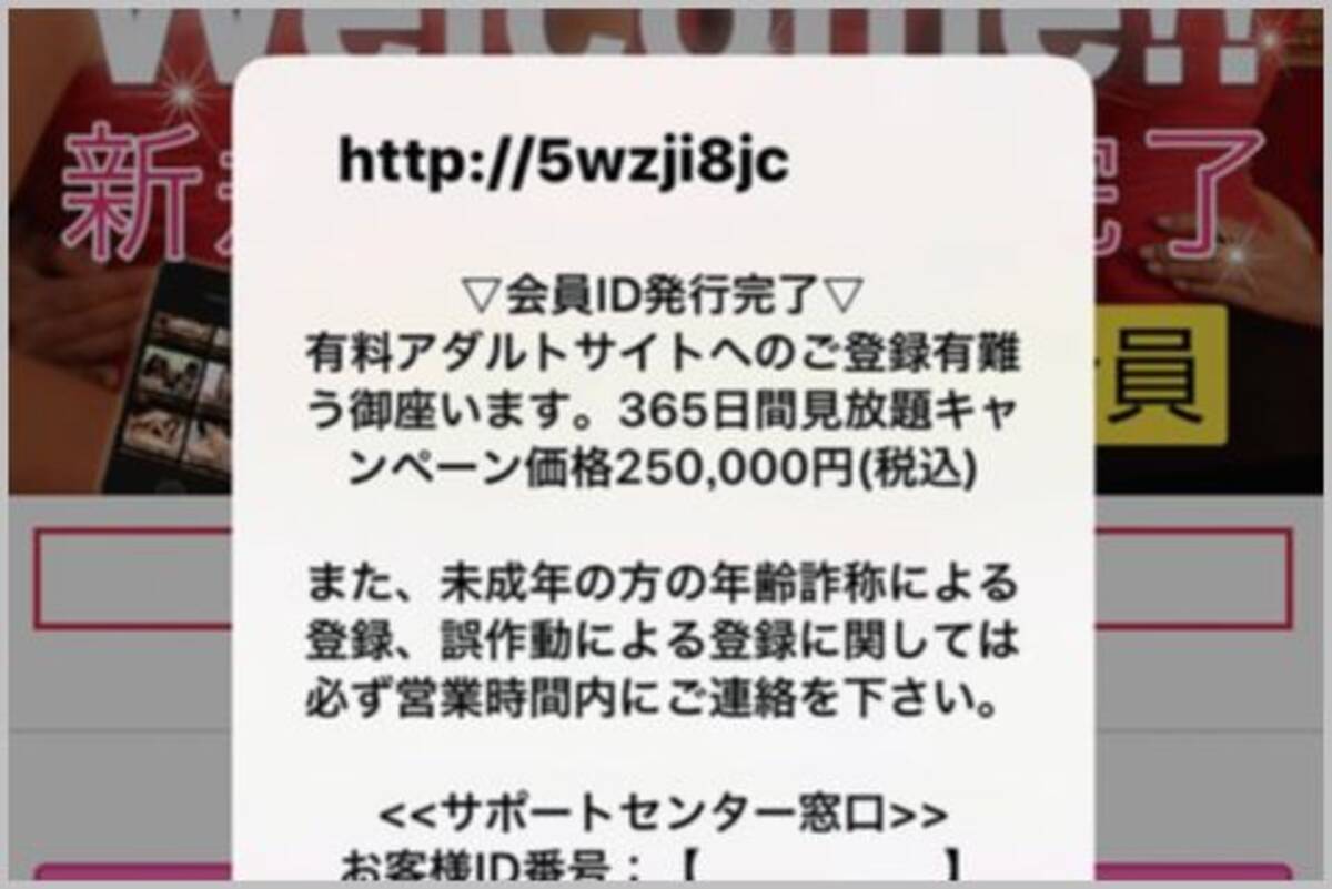 巧妙化する悪質な詐欺サイトの種類と特徴とは 年1月11日 エキサイトニュース