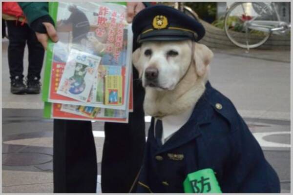 犯人を追う警察犬の所属部署は 鑑識課 だった 年5月21日 エキサイトニュース