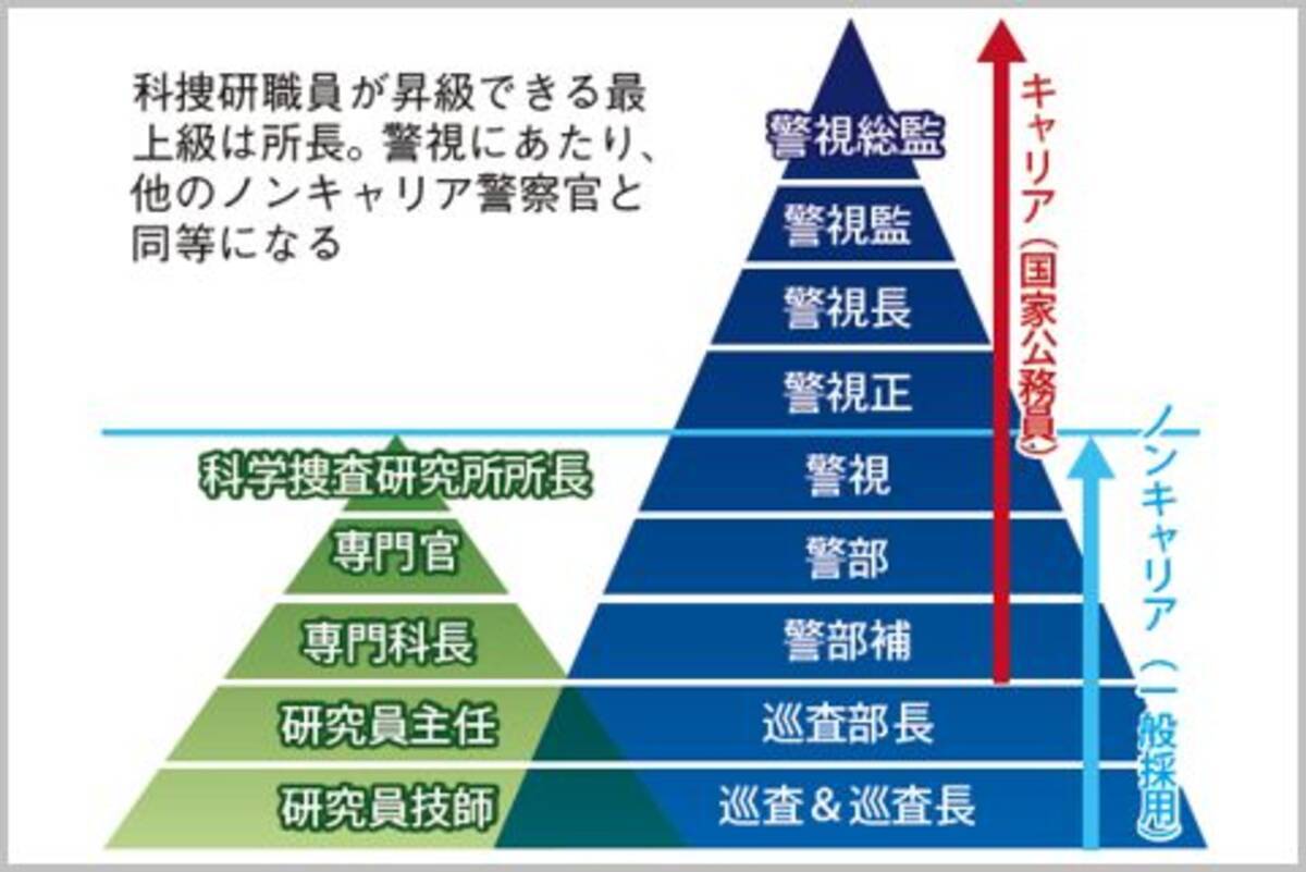 科捜研 研究員に警察官のような階級がある 年11月9日 エキサイトニュース