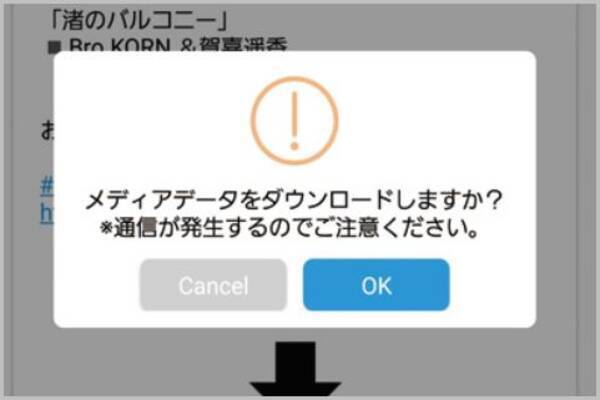 Twitterのお気に入り画像や動画を保存する方法 21年7月30日 エキサイトニュース