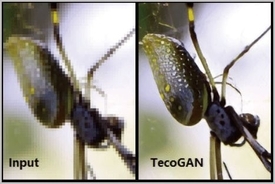 モザイク破壊動画で使われる「TecoGAN」とは？