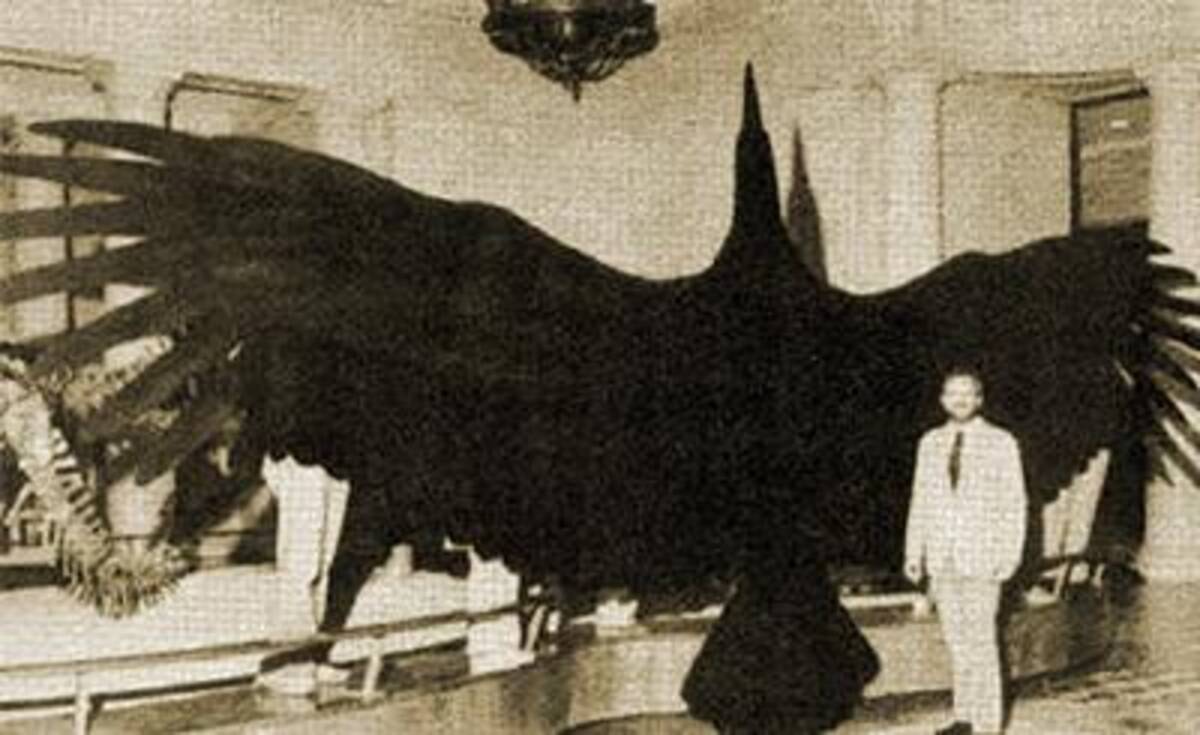 これが サンダーバード の正体か 巨大鳥の秘密を追う 13年2月9日 エキサイトニュース