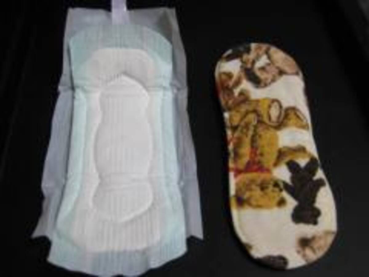女性が一生に一万個使うとされる生理用ナプキンを 布ナプキンにしてみたら 2010年10月1日 エキサイトニュース