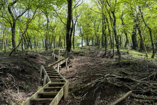 水曜日に連続した女性殺害事件 被害者の体から唾液が検出された不可解な男の正体とは 未解決事件ファイル 年3月28日 エキサイトニュース