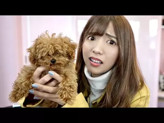 ユーチューバーの 嘘動画 に批判殺到 保護犬引き取り報告も ペットショップの犬と酷似 の指摘 19年5月30日 エキサイトニュース