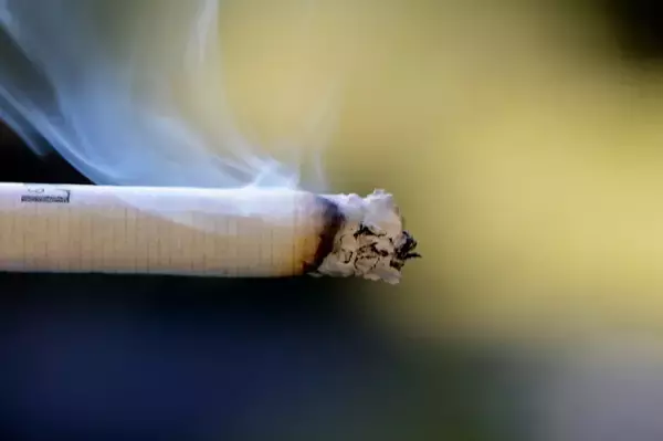 「「イライラしていた」53歳無職女、小学生にタバコを投げつけ平手打ちし逮捕」の画像